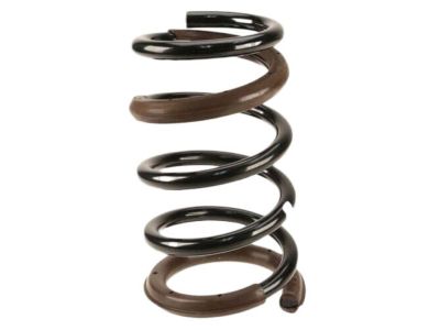 Kia 553504D201DS Rear Coil Springs