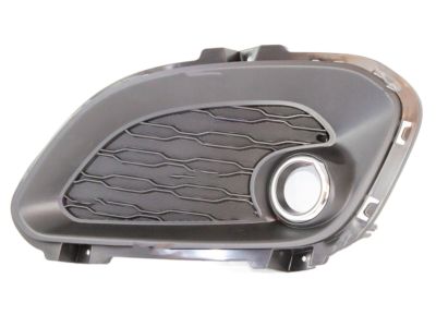 Kia 865831W200 Grille Assembly-Front Fog, L