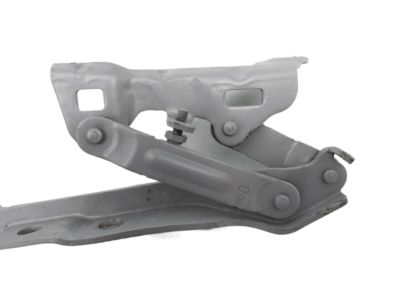 Kia 66910S9000 Hinge Assy-Hood, LH