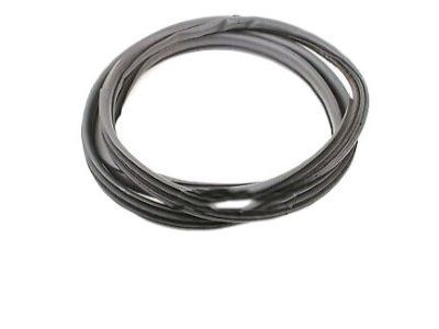 Kia 821102F001 WEATHERSTRIP-Front Door Body