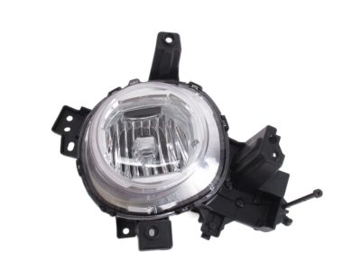 Kia 92202B2500 Front Fog Lamp Assembly, Right