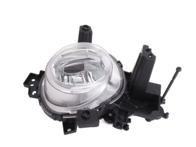 Kia 92202B2500 Front Fog Lamp Assembly, Right