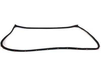Kia 821303E001 WEATHERSTRIP Assembly-Front Door Side