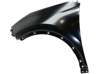 Kia 66311D9000 Panel-Fender, LH