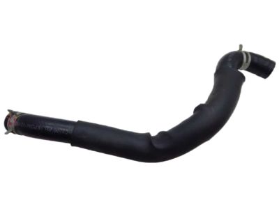 Kia 25410C5500 Hose Assembly-Radiator, Lower