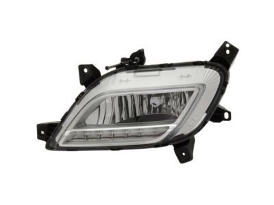 Kia 92202G5000 Front Fog & Daytime Running Lamp Assembly, Right