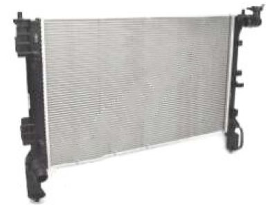 Hyundai 25310-H9000 Radiator Assembly