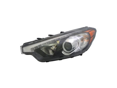 Kia 92101A7710 Driver Side Headlight Assembly