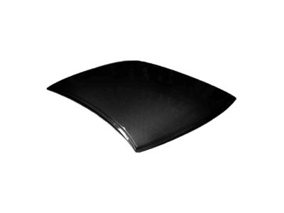 Hyundai 81613-3E010 Weatherstrip-Sunroof Glass