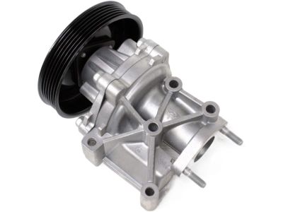 Hyundai 25100-25002 Pump Assembly-Coolant