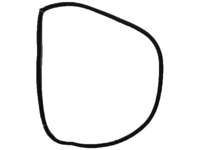 Kia 831101G001 WEATHERSTRIP-Rear Door Body Side