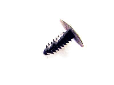 Hyundai 85746-02000-AQ Plug-Trim Mounting