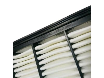 Hyundai 28113-D3300 Air Cleaner Filter