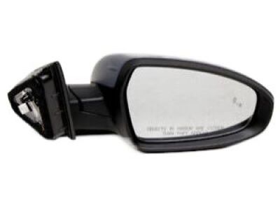 Kia 87620M7070 Outside Mirror Assembly