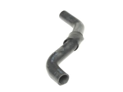 Kia 254121G100 Hose-Radiator Lower