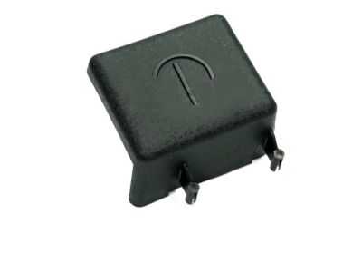 Kia 37113C5100 Cap-Battery