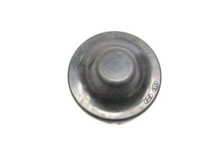 Hyundai 54648-A5000 Cap-Front