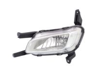 OEM Kia Front Fog Lamp Assembly, Left - 922012T550