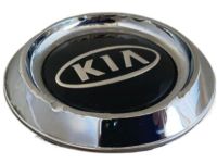 OEM 2003 Kia Sorento Wheel Cap - 529603E020