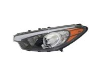 OEM 2014 Kia Forte5 Driver Side Headlight Assembly - 92101A7200