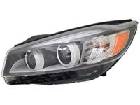 OEM 2017 Kia Sorento Driver Side Headlight Assembly - 92101C6000