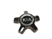 OEM Kia Cadenza Wheel Hub Cap Assembly - 529603T000