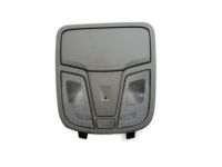 OEM 2012 Kia Optima Lamp Assembly-OVERHEADEAD Console - 928102T01187