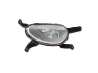 OEM Kia Cadenza Front Fog Lamp Assembly, Right - 922023R510