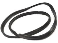 OEM 2013 Kia Forte Weather Strip-Trunk - 873211M000