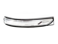 OEM Kia Niro EV Lamp Assembly-Outside Mirror - 87623G5000