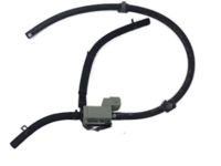 OEM Kia SOLVALVE & Hose - 394002B050