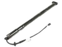 OEM 2012 Kia Forte Lifter Assembly-Tail Gate - 817701M010