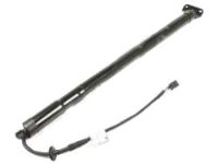 OEM Kia Lifter Assembly-Tail Gate - 817701M010