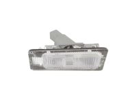 OEM 2018 Kia Forte5 Lamp Assembly-License Plate - 925011M400