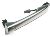 OEM Kia Niro Door Outside Handle Assembly - 82651G5200C3U