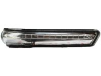 OEM 2014 Kia Forte Lamp Assembly-Outside Mirror - 87624A7000