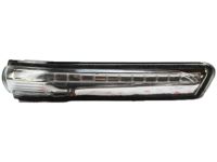 OEM Kia Lamp Assembly-Outside Mirror - 87624A7000