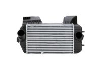 OEM Complete-INTERMEDIATED Cooler - 282702GTA1