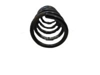 OEM 2011 Kia Sorento Rear Suspension-Spring - 553301U300