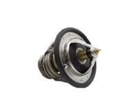 OEM Hyundai Santa Fe Thermostat Assembly - 25500-3C130