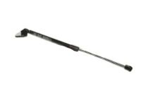 OEM Kia Lifter Assembly-Tail Gate - 817801W200