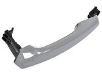 OEM Kia Niro Door Outside Handle Assembly - 82651G5200MST