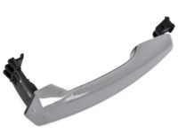 OEM 2020 Kia Niro Door Outside Handle Assembly - 82651G50004SS