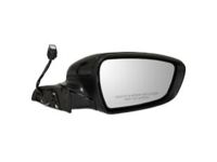 OEM 2015 Kia Sedona Outside Rear View Mirror Assembly, Right - 87620A9320