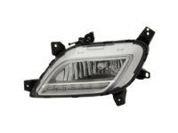 OEM Kia Niro EV Front Fog & Daytime Running Lamp Assembly, Right - 92202G5000