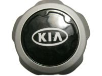 OEM 2002 Kia Sportage Rear Wheel Center Cap - 0K01137190B