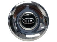 OEM 2006 Kia Optima Center Cap Hub Cap - 529603C110