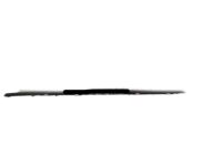 OEM 2006 Kia Optima WEATHERSTRIP Assembly-Front Door Belt - 822102G000