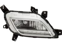 OEM 2019 Kia Niro Front Fog & Daytime Running Lamp Assembly, Left - 92201G5000