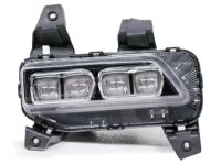 OEM Kia Front Fog Lamp Assembly - 92201S9000